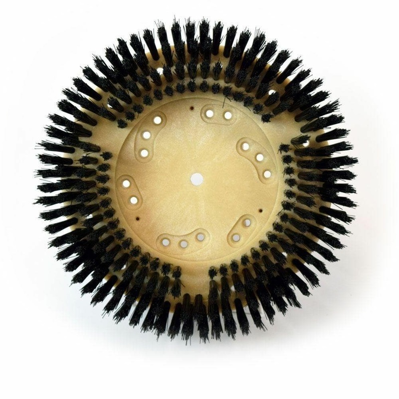 Carpet Shampoo Scrub Polypropylene Brush w/ Clutch Plate and Riser