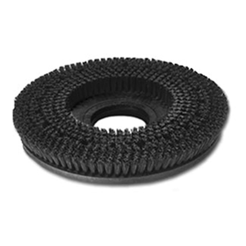 Koblenz Carpet Brush|15″|18″