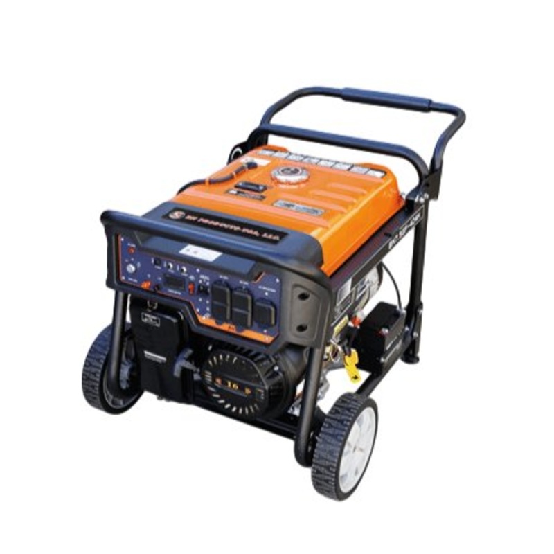BNG7500-D4 Gas Power Generator