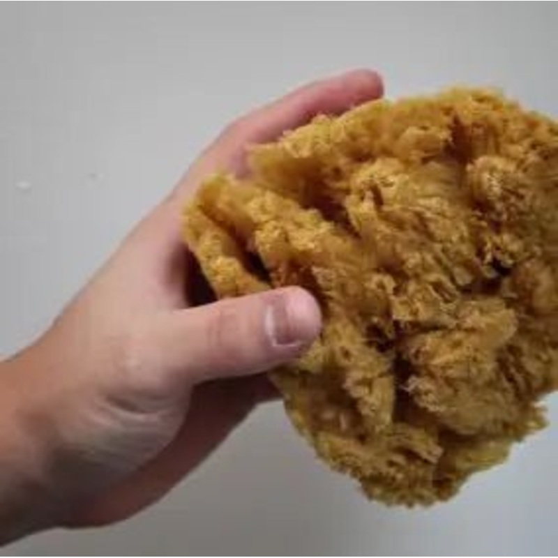 NATURAL GRASS SEA SPONGES FOR PAINTING