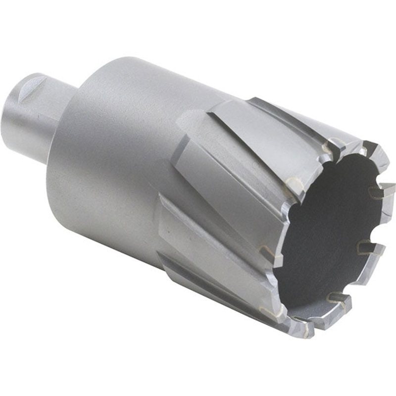 CARBIDE CORE CUT, Weldon, Metric